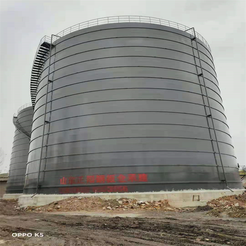 沙坪坝3万吨大型钢板库